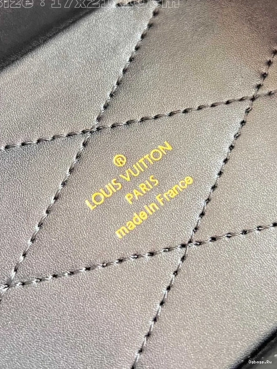 Monogram VUITTON Camera Canvas LOUIS Box 0207